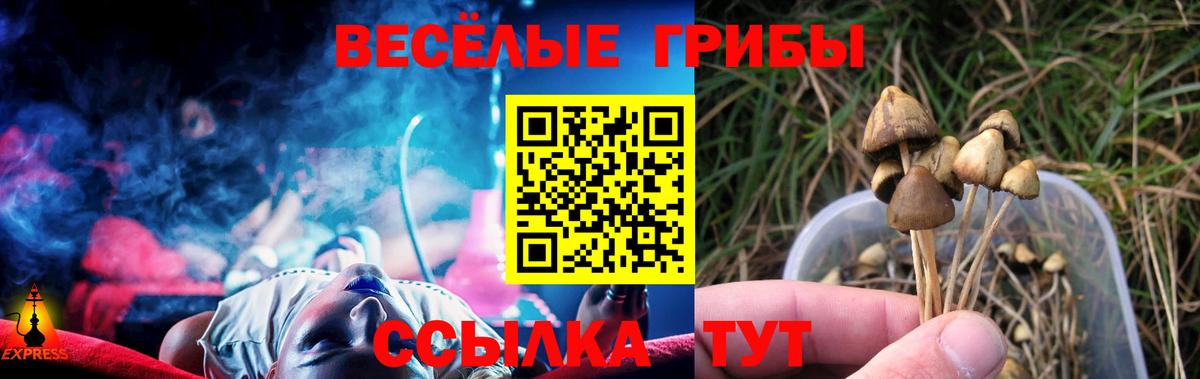 Псилоцибиновые грибы GOLDEN TEACHER Озёрск