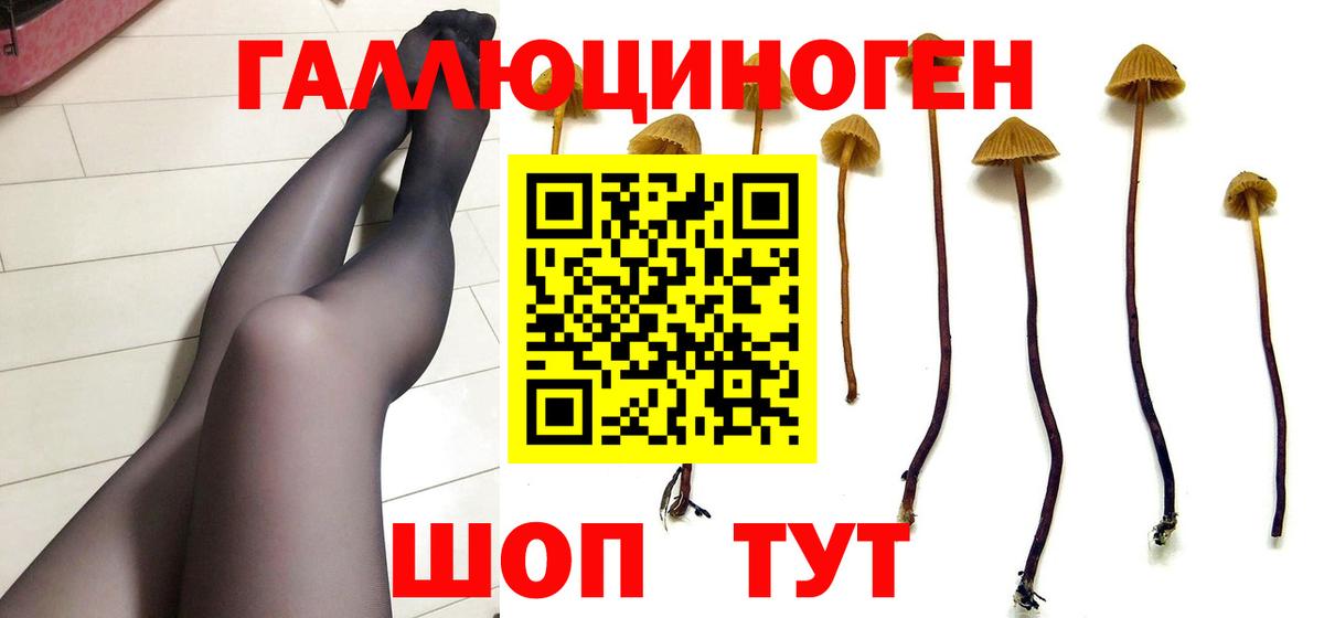 Озёрск  Галлюциногенные грибы Magic Shrooms  Вход с VPN 